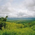 Le Togo est confronté à des problèmes environnementaux majeurs essentiellement liés à la dégradation des ressources naturelles en général et à celle des forêts en particulier. Ainsi note-t-on la régression […]